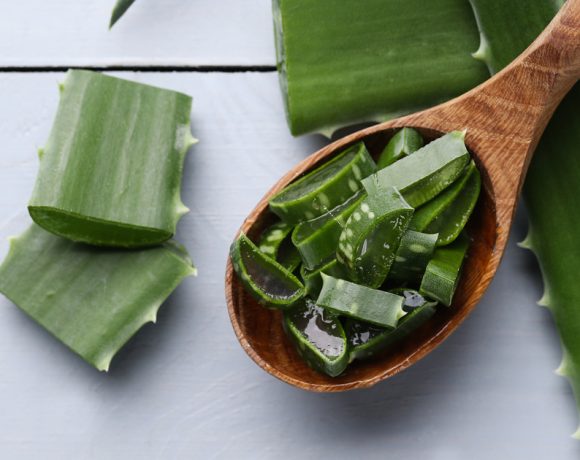 Aloe vera: l’ingrediente evergreen per la cura della pelle
