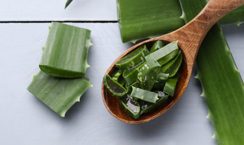 Aloe vera: l’ingrediente evergreen per la cura della pelle